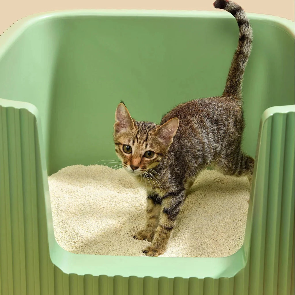 Tofu Cat Litter for Kittens and Small Animals, Natural Crushed Formula, Plant-Based & Safe if Ingested 2.5kg/6L