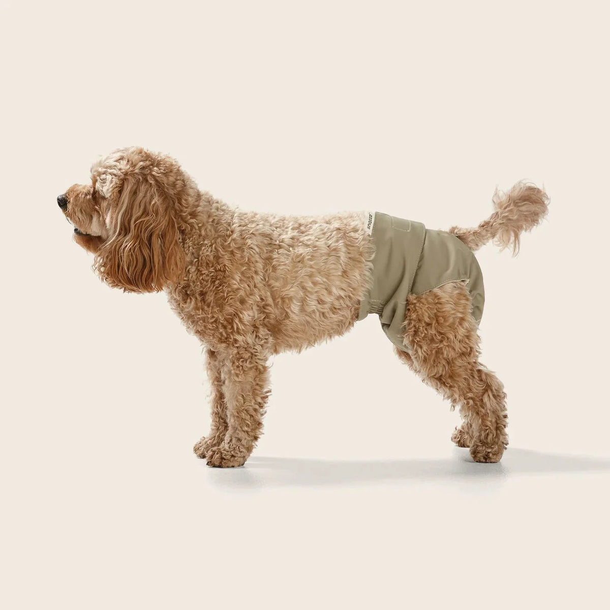 Snooza Washable Dog Nappy Band – Twin Pack for Female Dogs