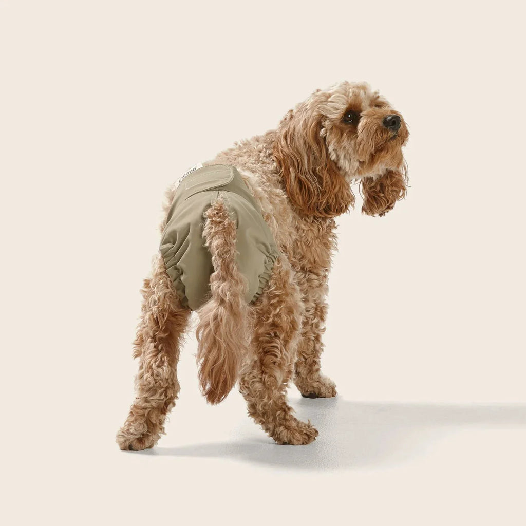 Snooza Washable Dog Nappy Band – Twin Pack for Female Dogs