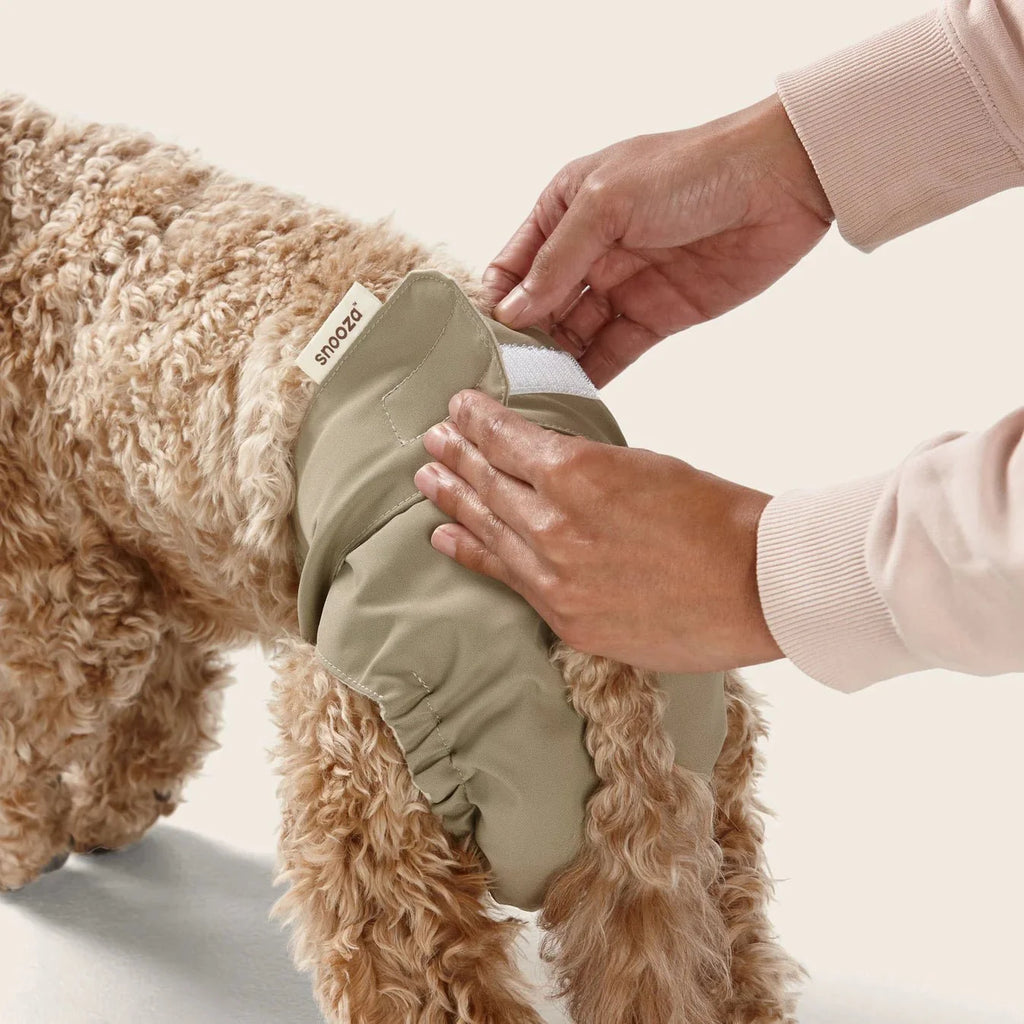Snooza Washable Dog Nappy Band – Twin Pack for Female Dogs