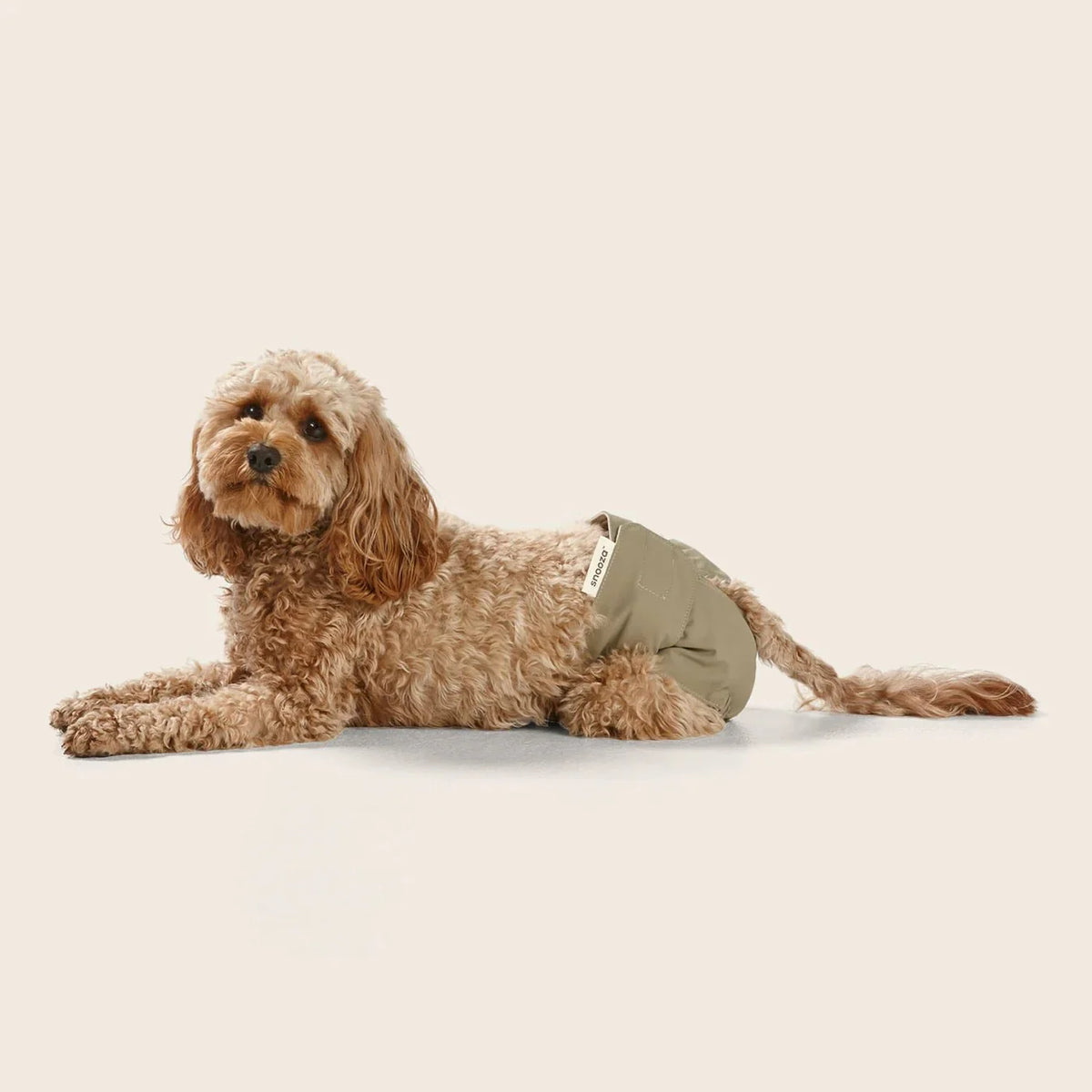 Snooza Washable Dog Nappy Band – Twin Pack for Female Dogs