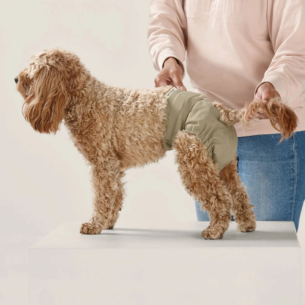 Snooza Washable Dog Nappy Band – Twin Pack for Female Dogs