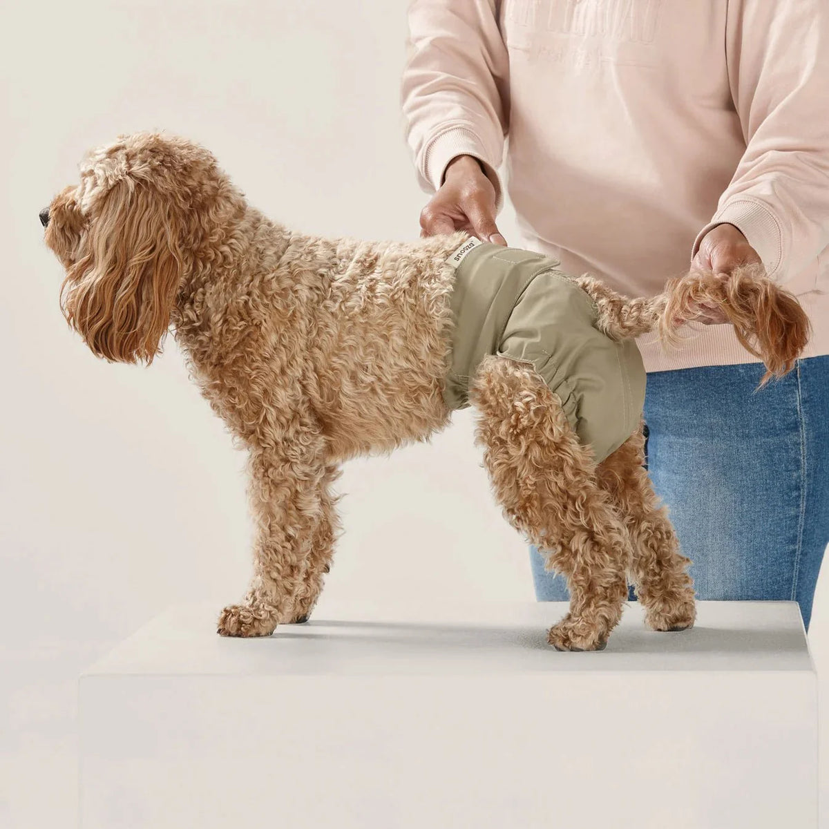 Snooza Washable Dog Nappy Band – Twin Pack for Female Dogs