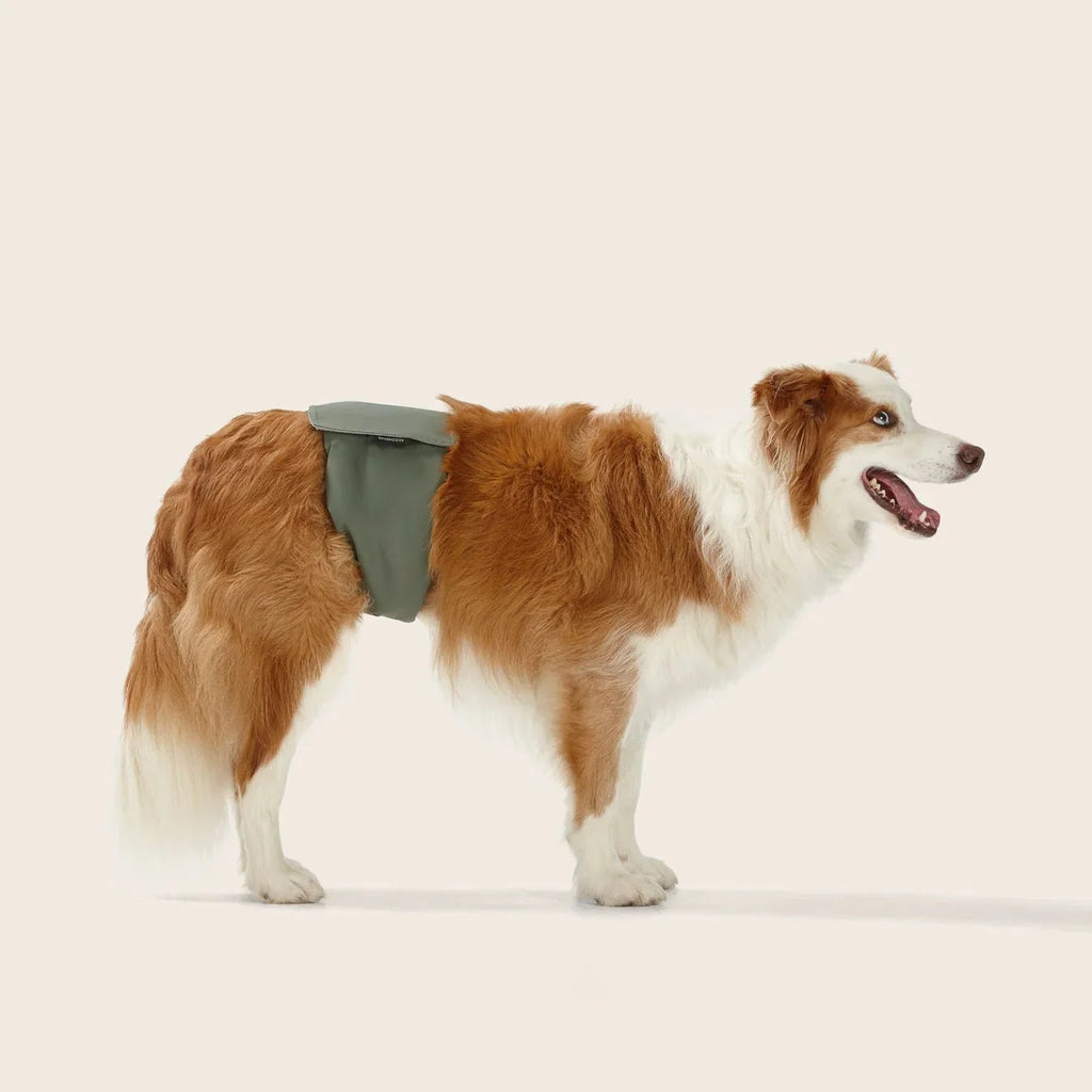 Washable Dog Nappy Band – Twin Pack for Male Dogs