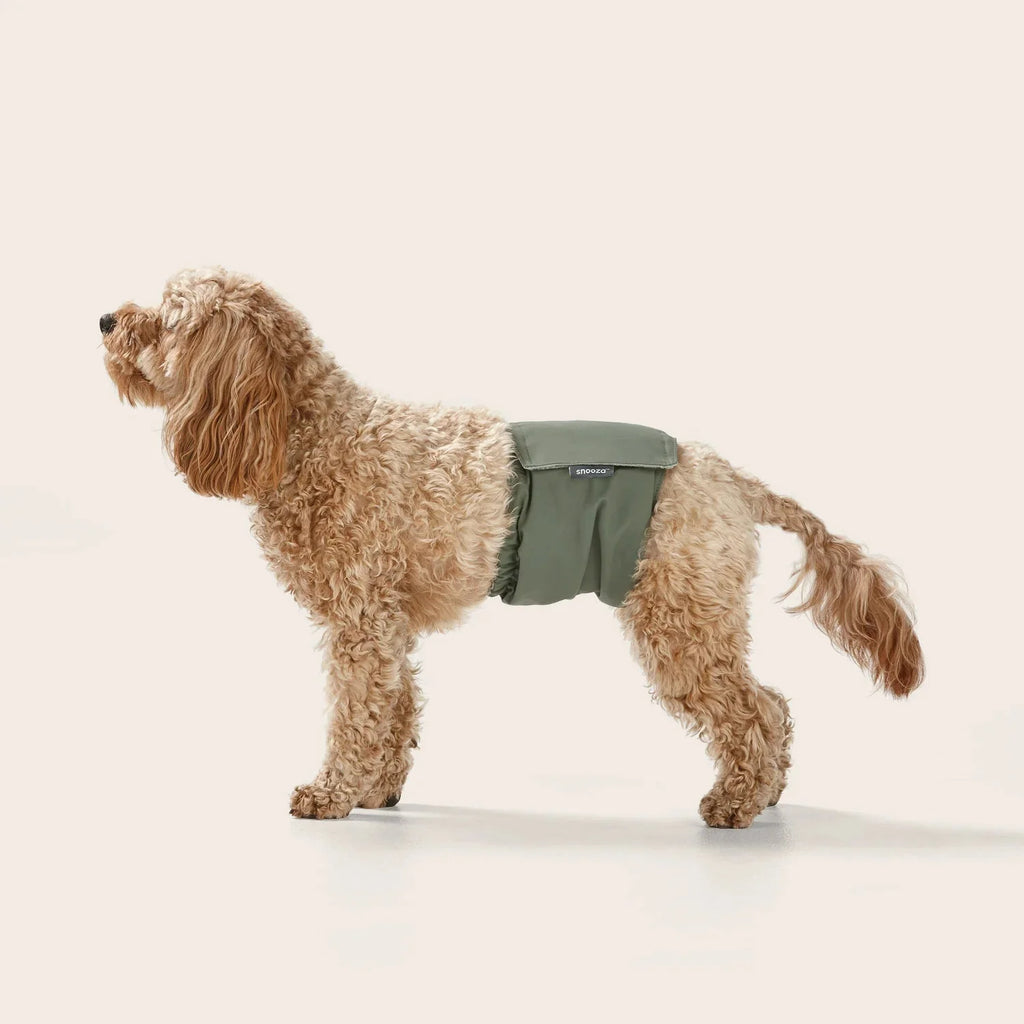 Washable Dog Nappy Band – Twin Pack for Male Dogs