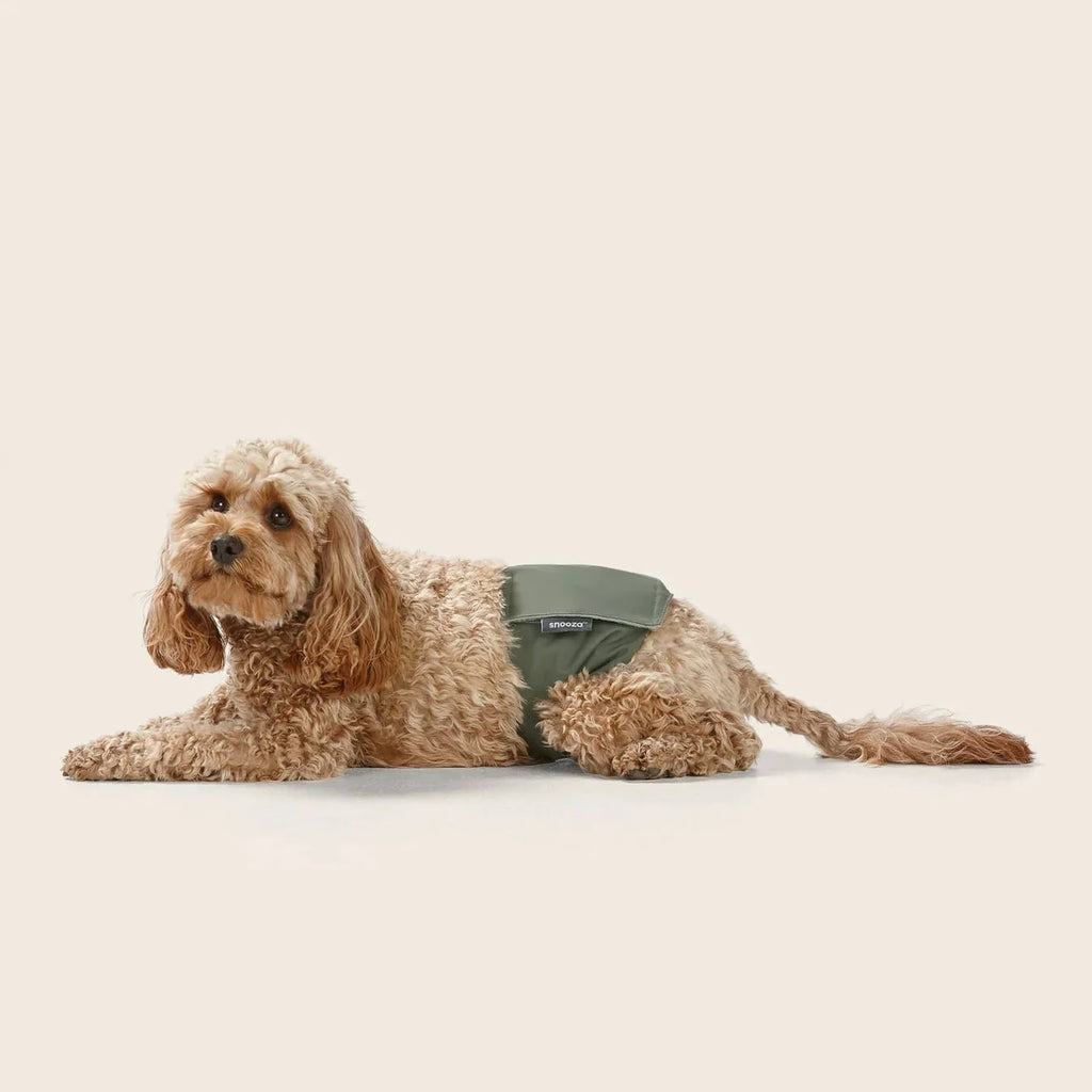 Washable Dog Nappy Band – Twin Pack for Male Dogs