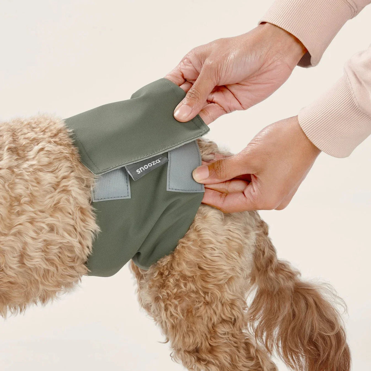Washable Dog Nappy Band – Twin Pack for Male Dogs