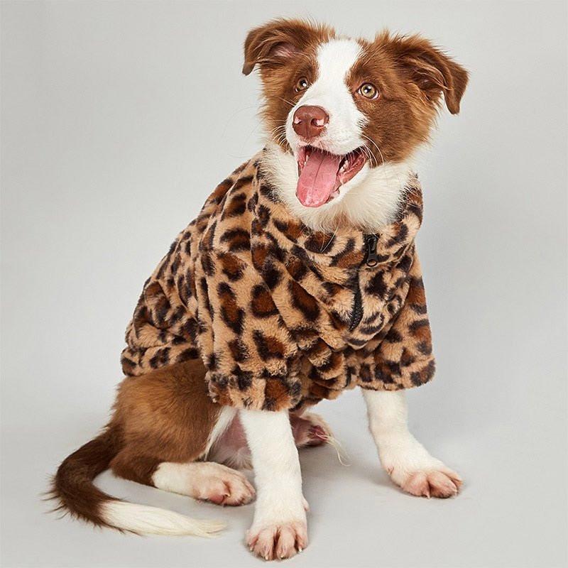 Zip Up Leopard Dog Jacket